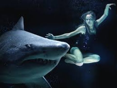 Request-What the Phelps Shark Race Tells Us About Normies