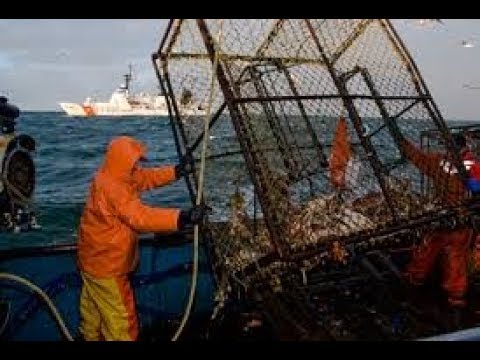 Request-Becoming an Alaskan Fisherman