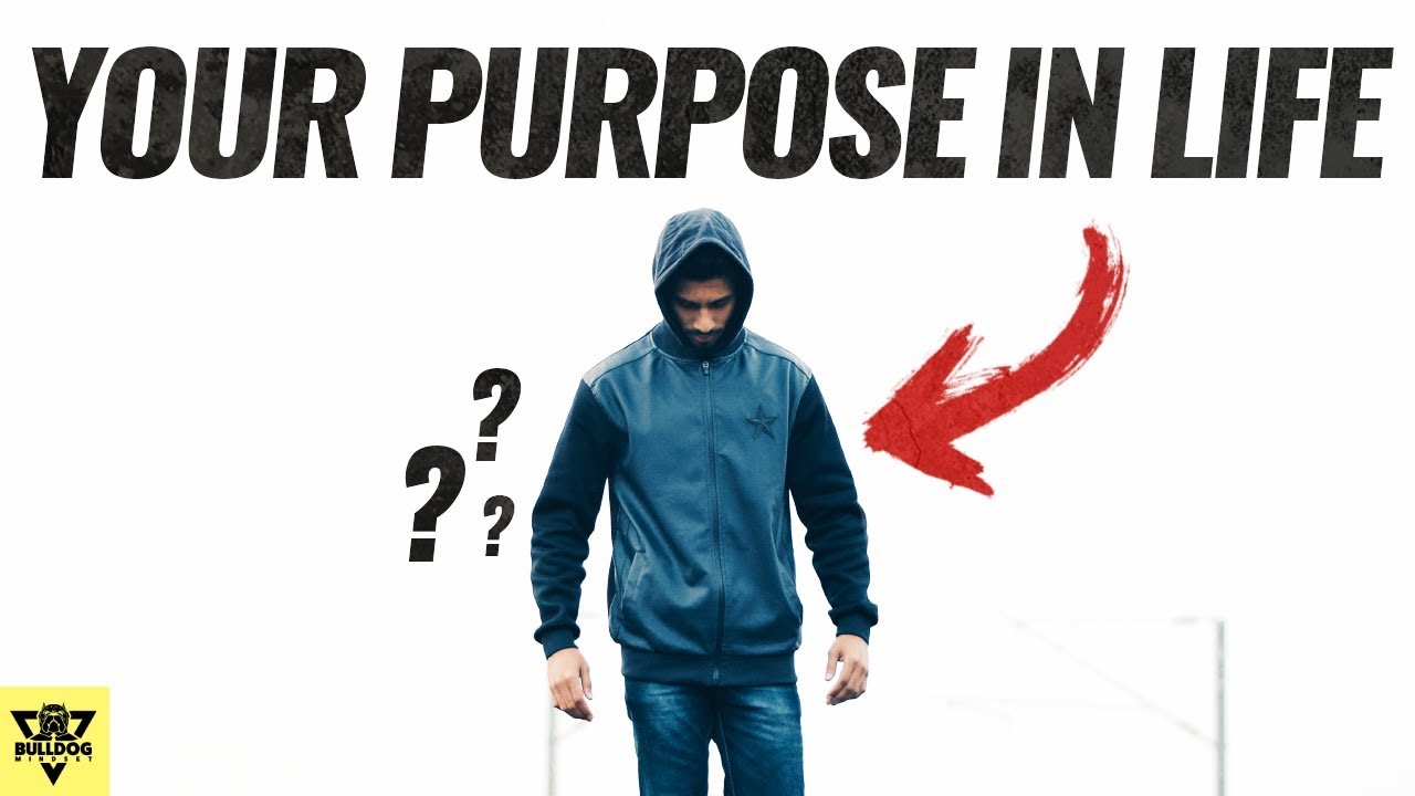 How To Find Your Purpose In Life (NOT Jay Shetty's BS)