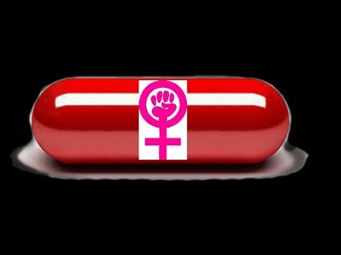 Introducing My Feminist Girlfriend to the Red Pill via Josh Hudson