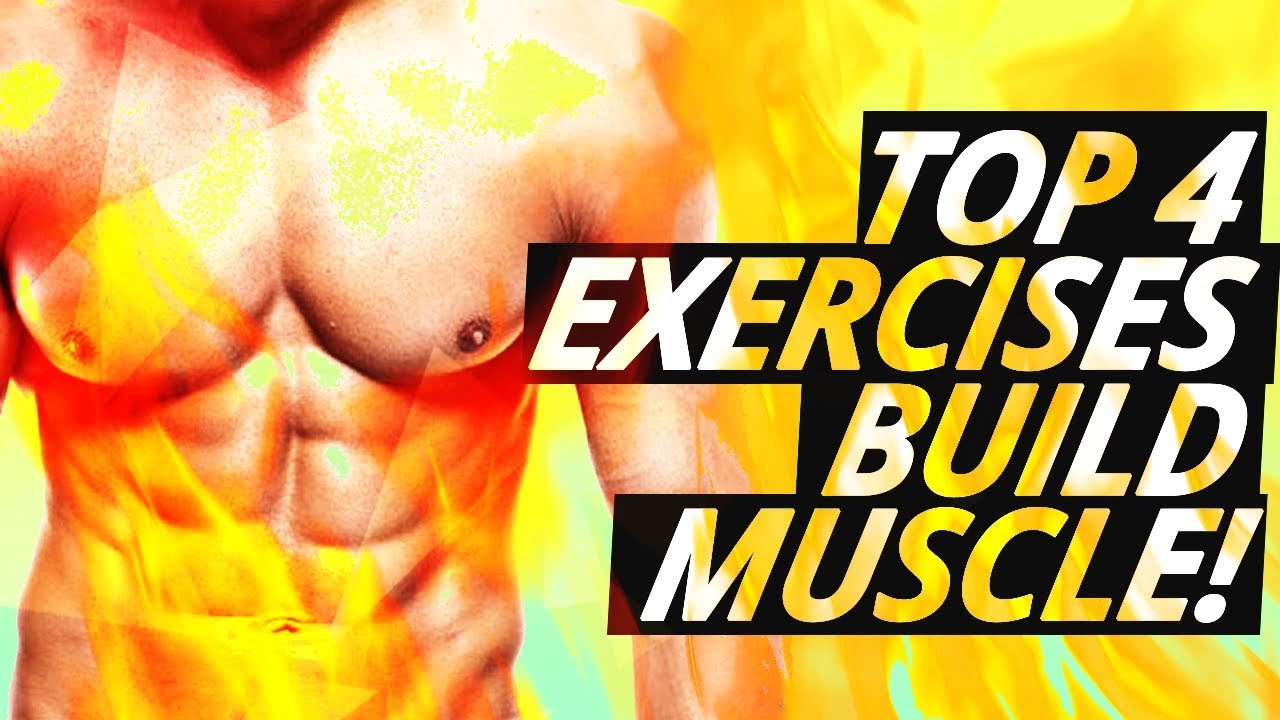 Top Exercises To Build Muscle (Best Muscle Building For INSANE BODY)