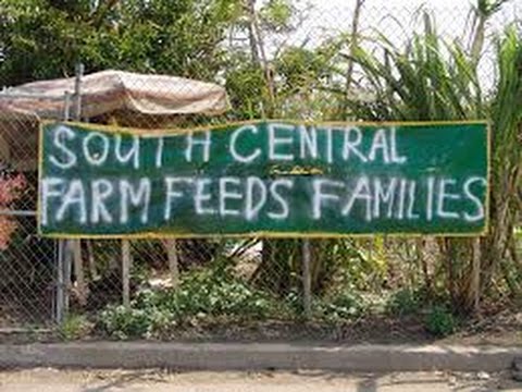 Request-Why Canadian Farmers are Like Black Lives Matter