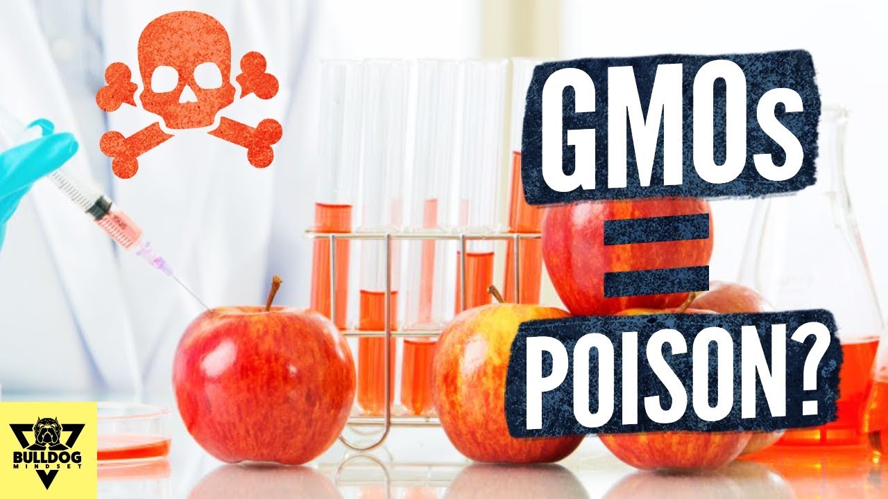 Are GMOs Bad For YOUR HEALTH? Should You Eat It?