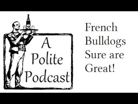 A Polite Podcast - French Bulldogs Sure are Great!