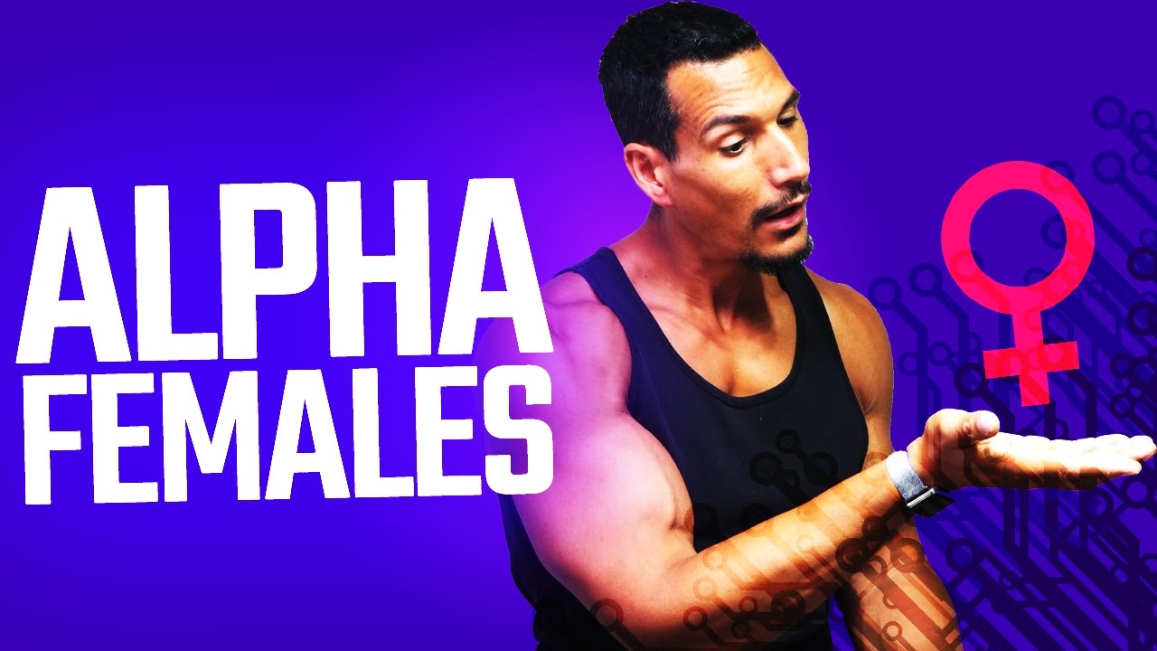 The Alpha Female: Dating Struggles And... Scaring MEN?