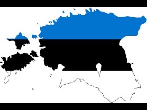 Request-What Should I Do in Estonia?