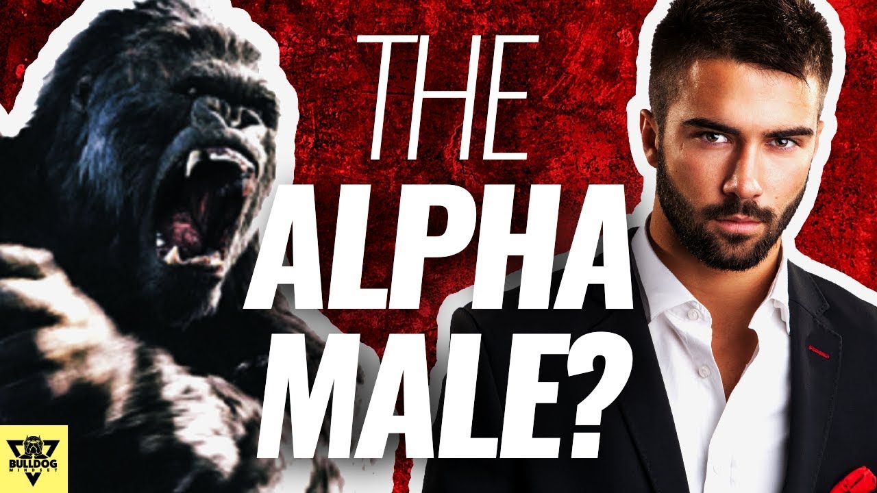 How To Be THE ALPHA MALE - Surprising Advice!