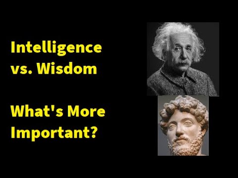 Wisdom or Intelligence:  What's More Important?