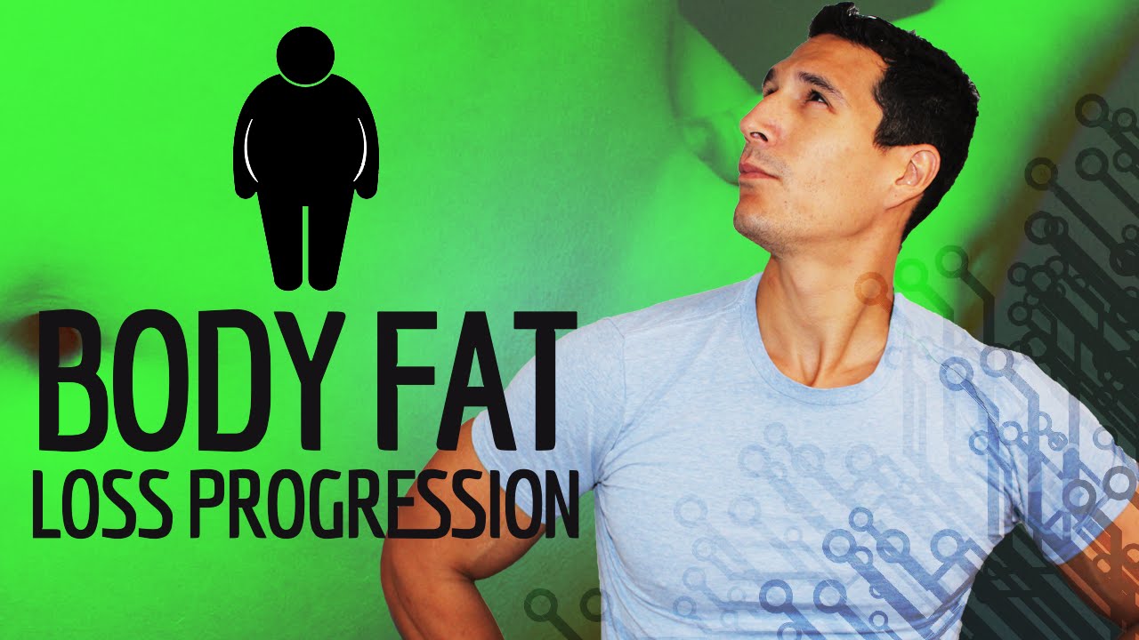 Body Fat Loss Progression & New Fitness Program