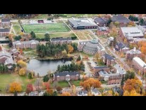 Why Colleges Hire Diversity Frauds