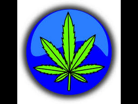 Request-Lawyer for Colorado Marijuana Growers