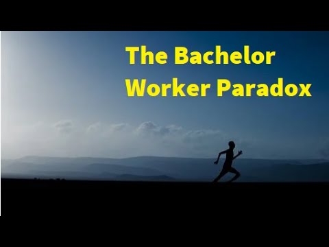 The "Never Ending Work" Paradox for Bachelors