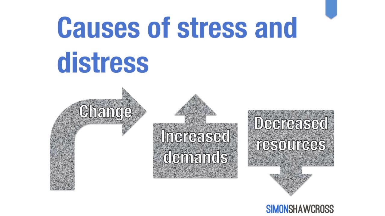 The 3 Main Causes Of Stress | Simon Shawcross