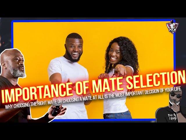 MATE SELECTION: Why This Is The Most Important Decision You'll EVER Make In Your Life